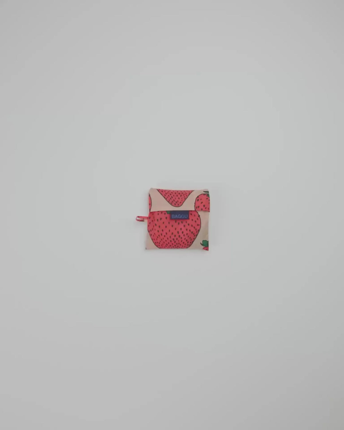 STANDARD BAGGU - US 3370